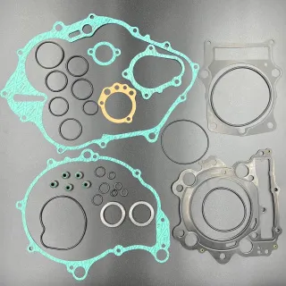 Комплект прокладок Yamaha Raptor 660 (06-08) (ZIBO) картинка