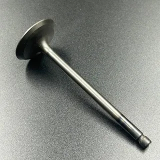 Клапан впускной F75-100 (Yamaha) картинка