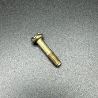 Болт стальной диам. 5 мм SCREW (Quicksilver) картинка