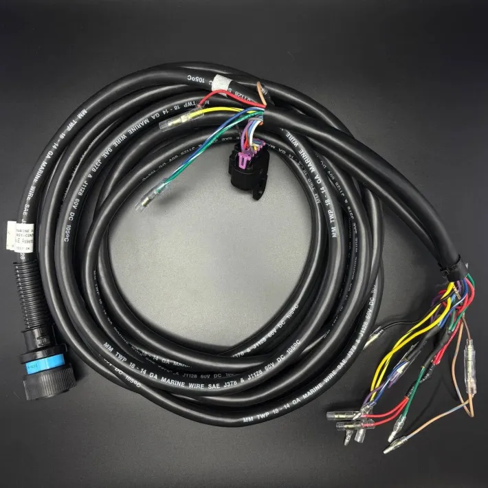 896536T02 — 1