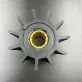 21951362 — 2