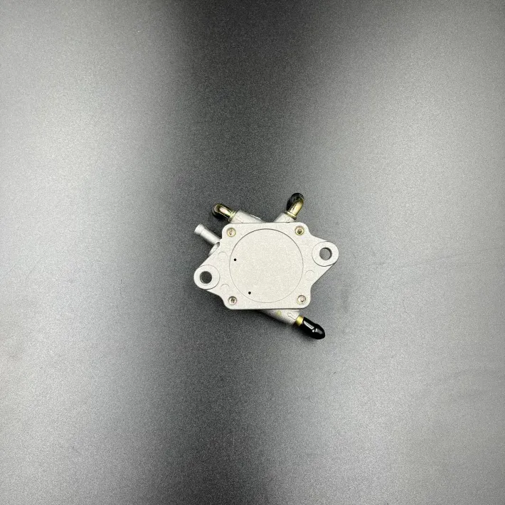 403901813 — 2