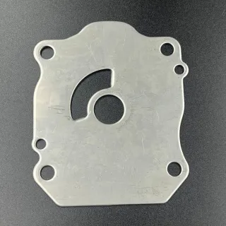 Пластина помпы охлаждения Honda BF60 (Honda) картинка