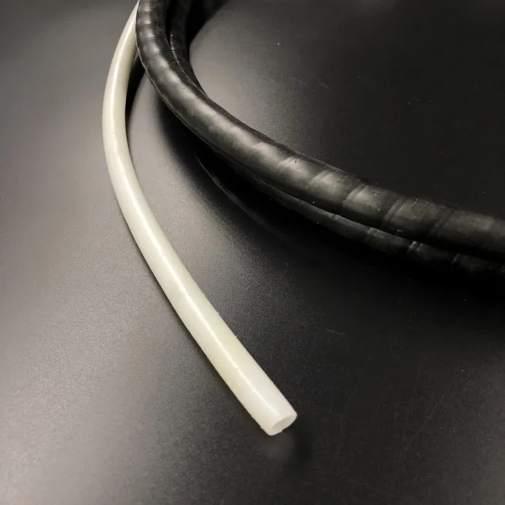 509009 — 2