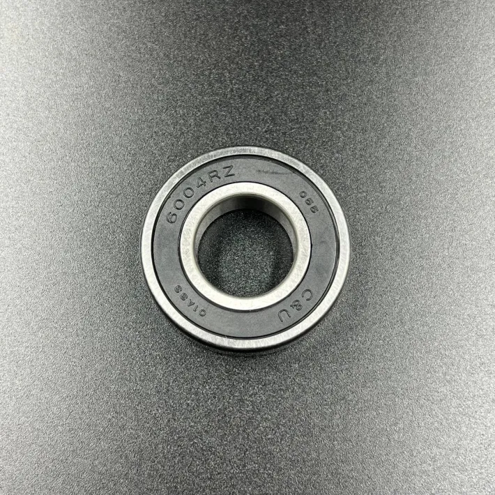6004DDUCM — 2