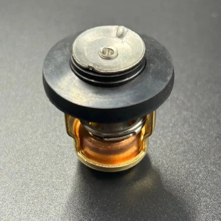 6G8-12411-01 — 4