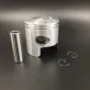 3C8-00004-3 — 1