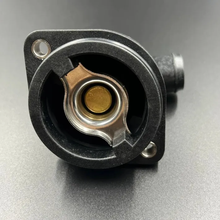 8M0090819 — 2