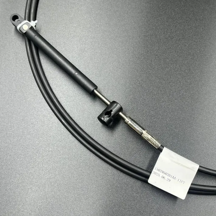 950201AA-11FT — 2