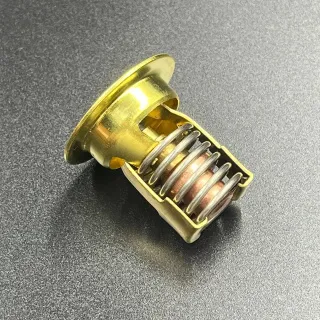 Термостат Mercury(130°F)  (JSP) картинка