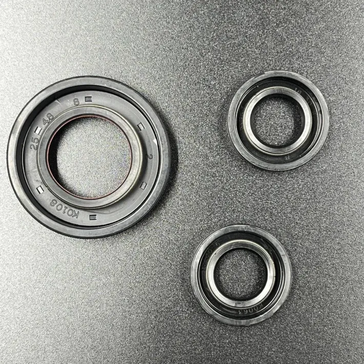 69P-W0001-00 — 6