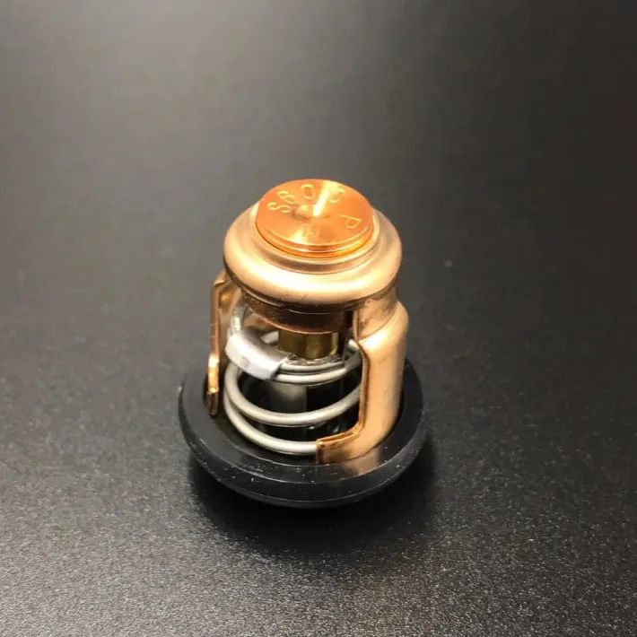 66M-12411-01 — 1