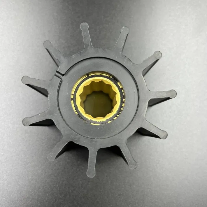 21951362 — 2