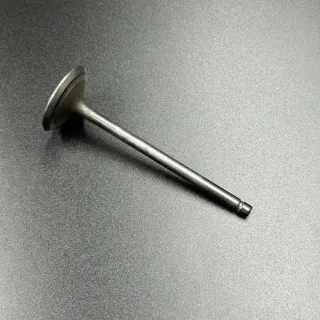 Клапан выпускной Yamaha F200-350 (Yamaha) картинка