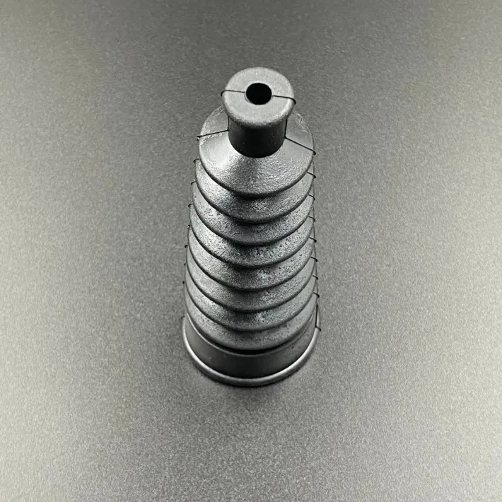 74639Q02 — 2