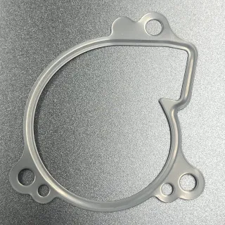 Прокладка помпы Yamaha Grizzly 550/700, Rhino 700 (Yamaha) картинка