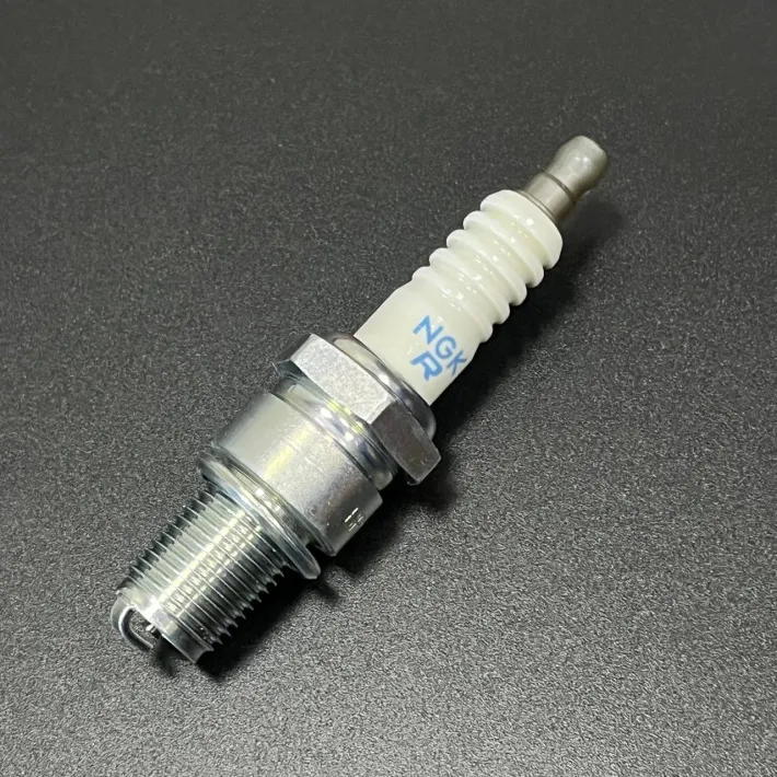 BR9ES — 1