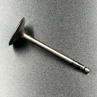 Клапан впускной Yamaha F20-60 FT25-60 (Yamaha) картинка