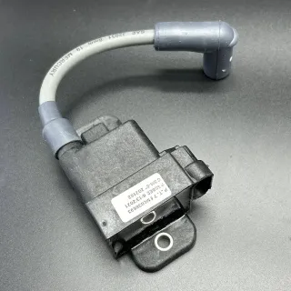 Катушка зажигания CDM MODULE ASSY (Quicksilver) картинка