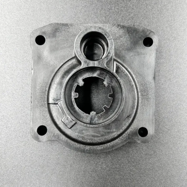 61N-44311-01 — 2