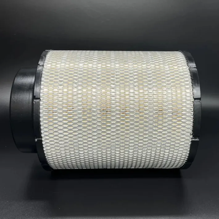 21496510 — 1
