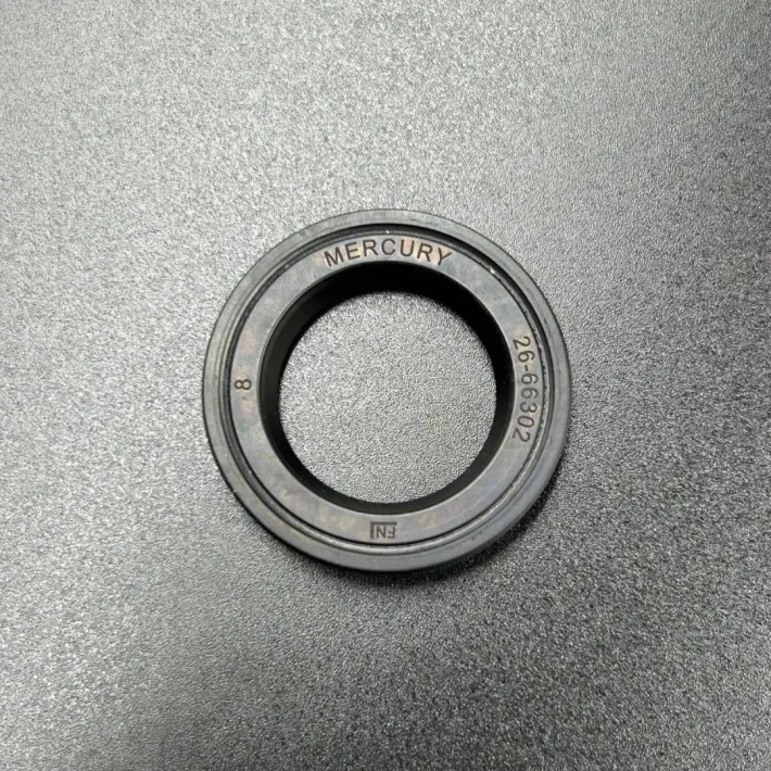 66302 — 1