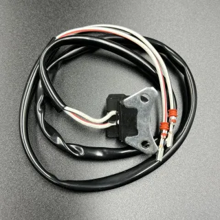 Катушка момента искрообразования Yamaha 40X (YUELANG) картинка