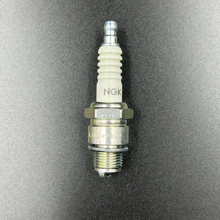 B7HS-10 — 4
