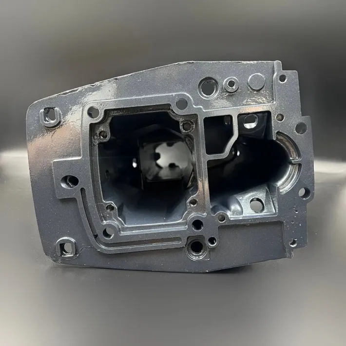69P-45111-00 — 6