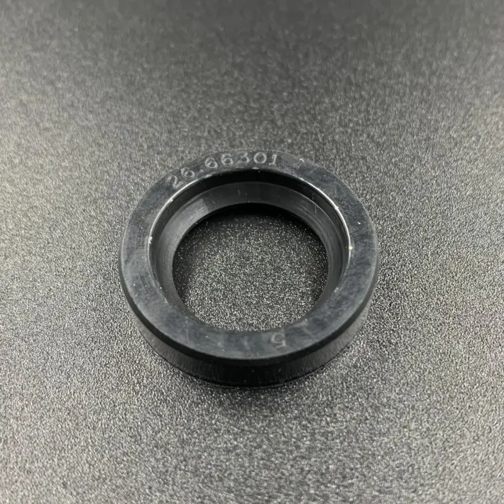 26-66301 — 2