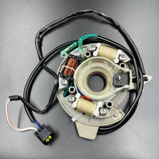 Магнето в сборе с катушкой 12V Yamaha 40X (YUELANG) картинка