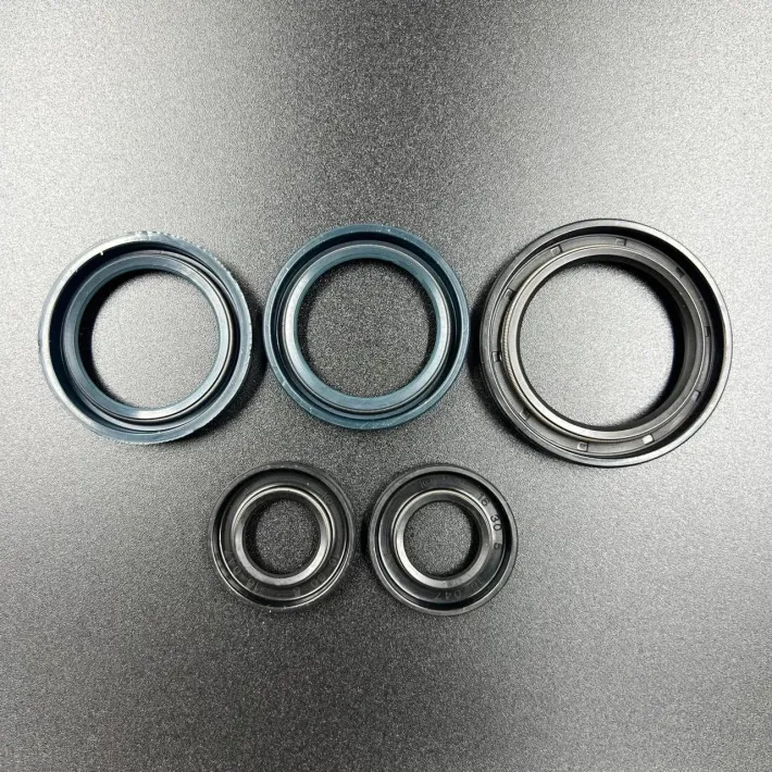 66T-W0001-01 — 3