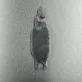 98889 — 3