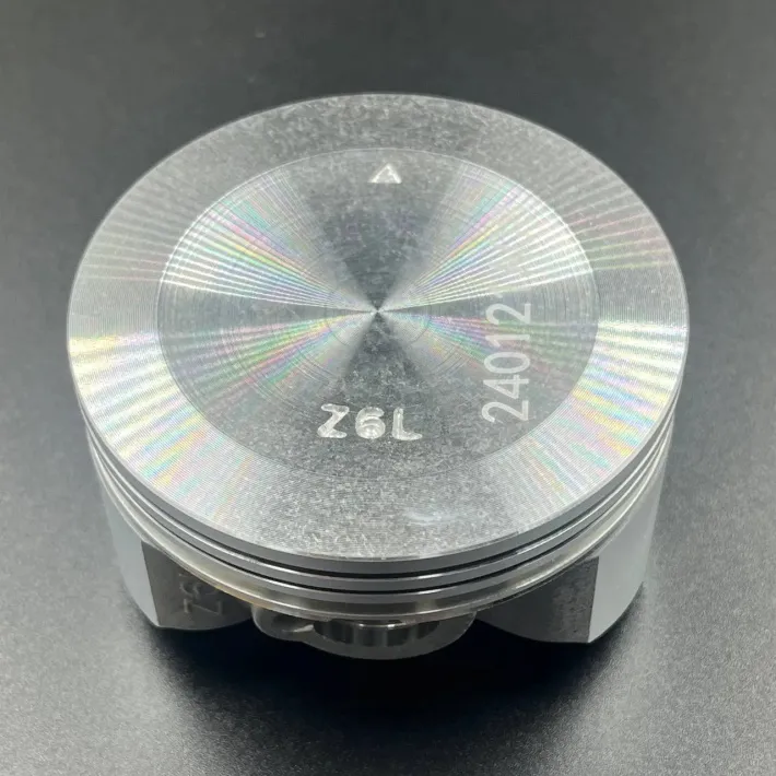 13101-Z6L-020 — 1
