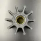 21730344 — 2