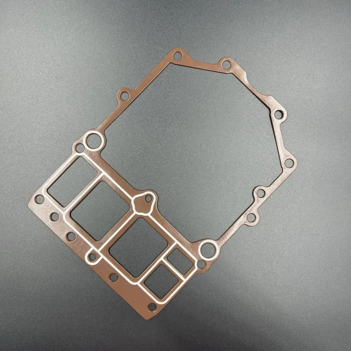 6G5-45113-A1 — 2