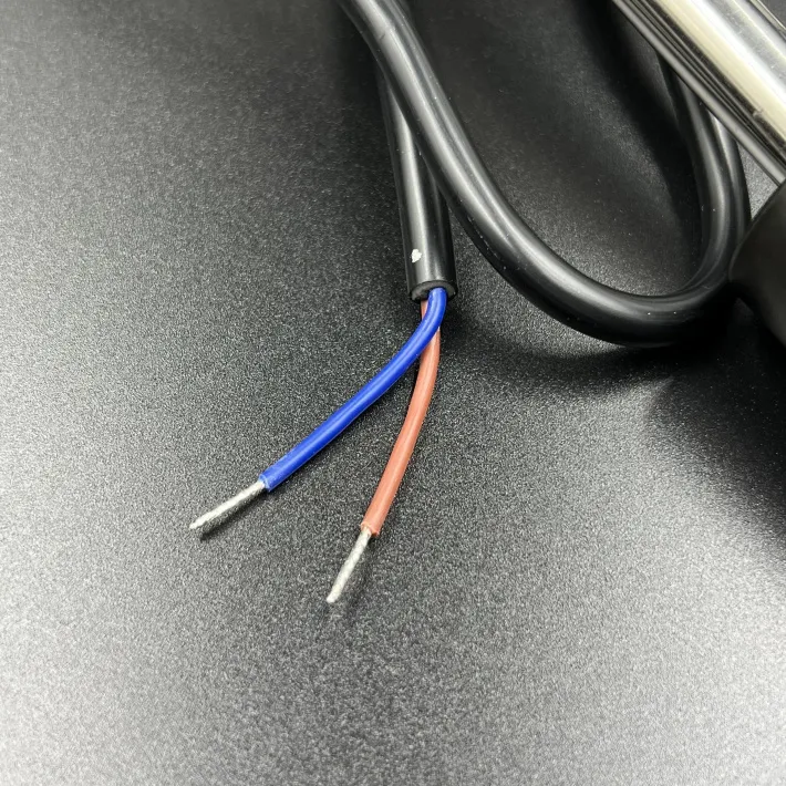 DP0190FM-20 — 2