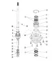 T40-31019 — 2
