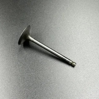 Клапан впускной Suzuki DF25-30A (Suzuki) картинка