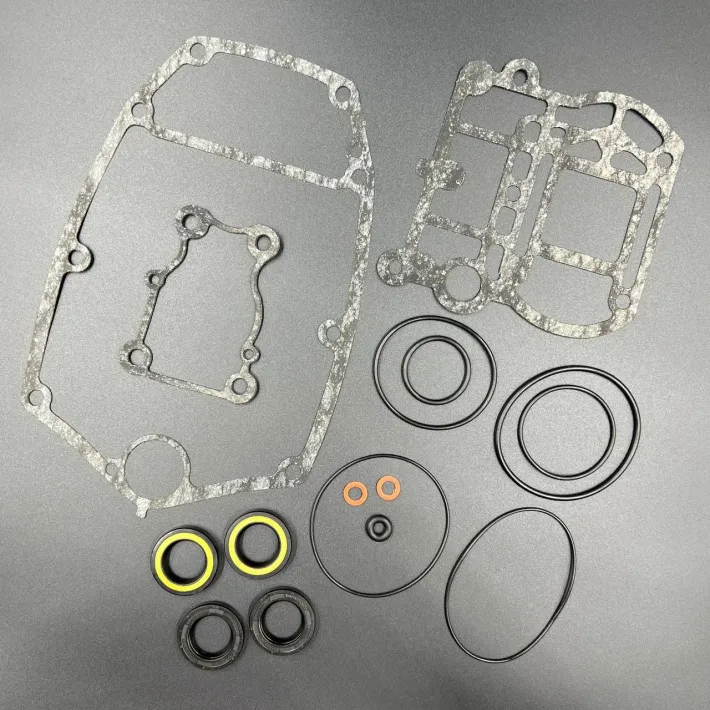 66T-W0001-20 — 2