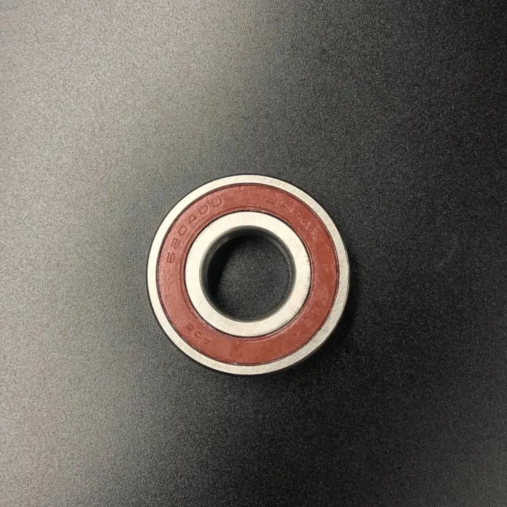6204DDUCM — 4