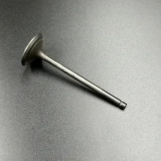 Клапан выпускной Yamaha F200-350 (Yamaha) картинка