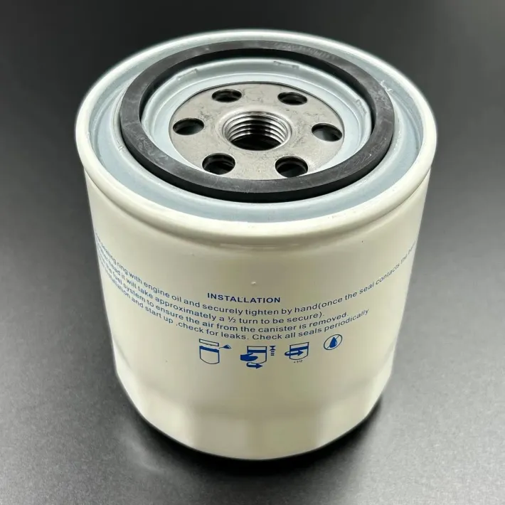 35-802893Q01-10MIC — 1