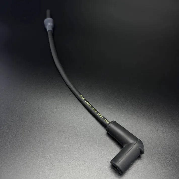 821945A61 — 4