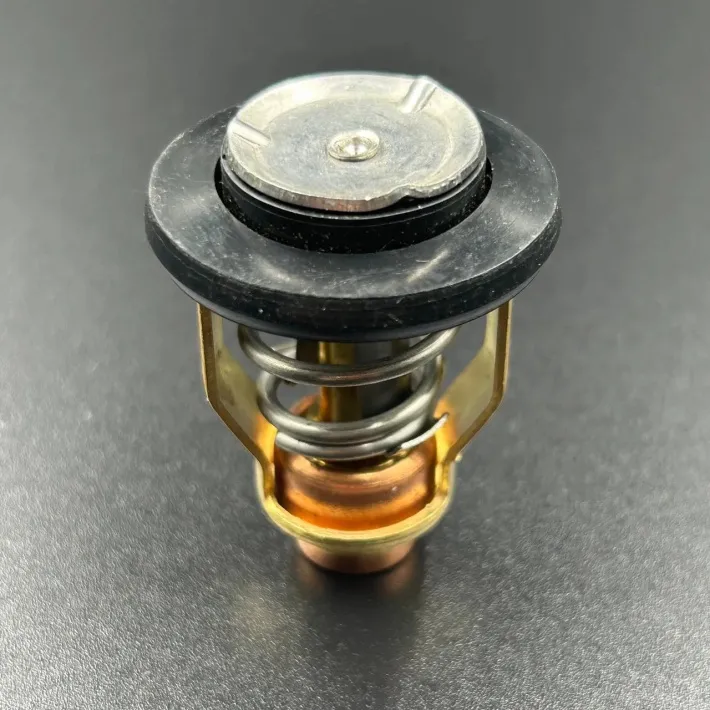 60V-12411-00 — 7