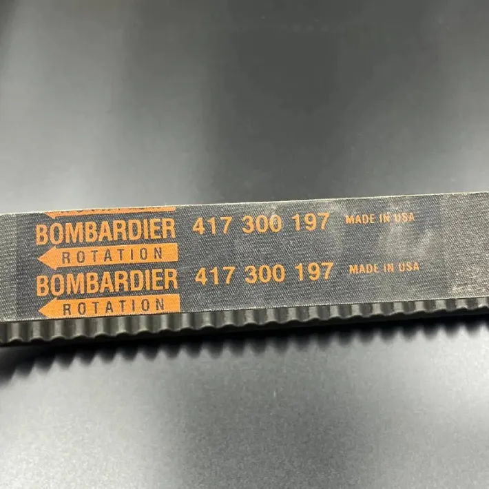 417300197 — 2