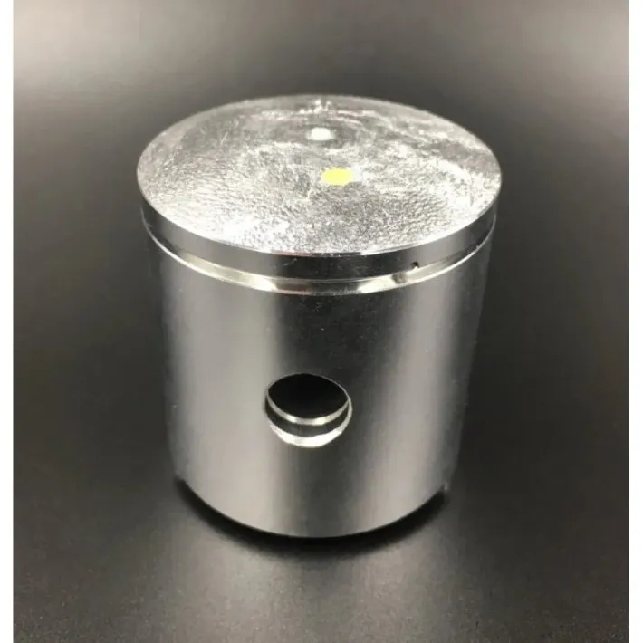 309-00001 — 1