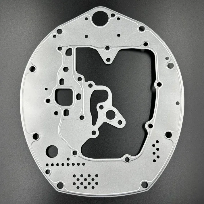 11381-ZV7-020 — 1