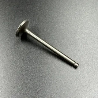 Клапан впускной Suzuki DF70-90(A) (Suzuki) картинка