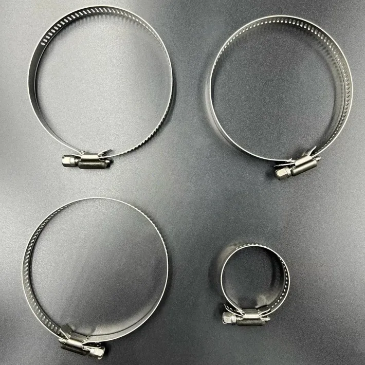 30-803100T1 — 2